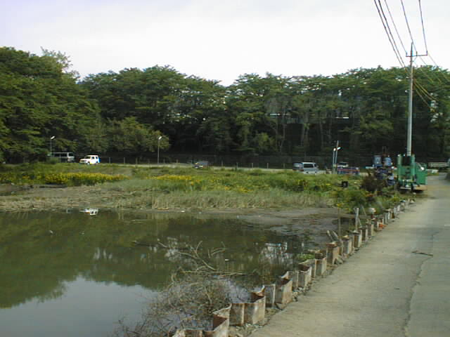 池